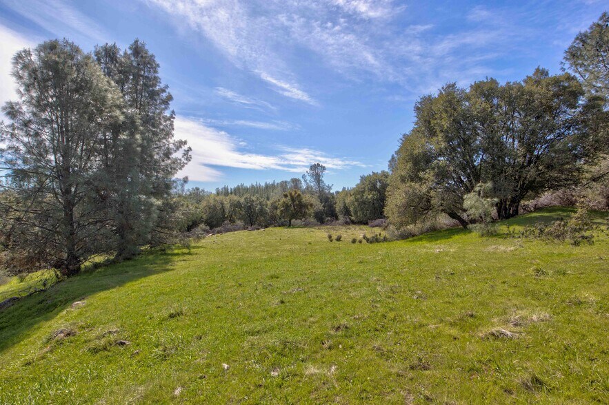 18800 Charleston Rd, Volcano, CA à vendre - Photo de l’immeuble – Image 3 sur 47