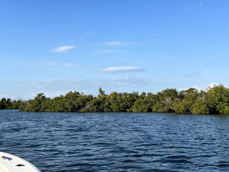 Indian Field Island + 4500 Island 1, Bokeelia, FL à vendre - Autre – Image 3 sur 6