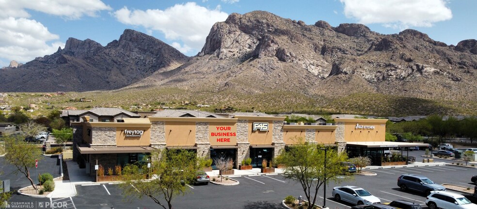 9600 N Oracle Rd, Oro Valley, AZ à louer - Photo de l’immeuble – Image 1 sur 3