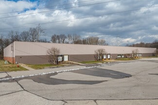 Plus de détails pour 7640 Hub Pky, Valley View, OH - Industriel/Logistique à vendre