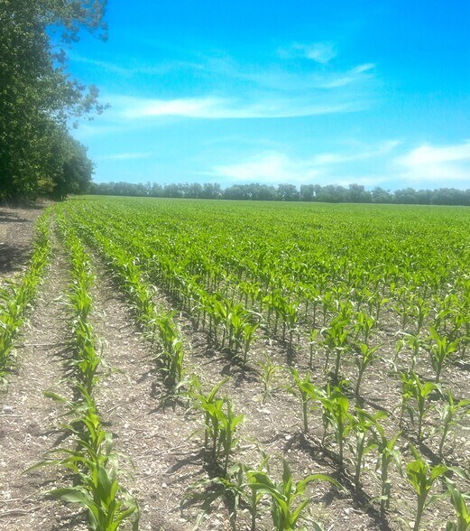 State Highway 53 & Little Flock Road, Temple, TX à vendre - Photo de l’immeuble – Image 3 sur 4