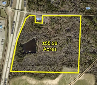 Plus de détails pour 1038 Pinehurst Hawkinsville, Unadilla, GA - Terrain à vendre
