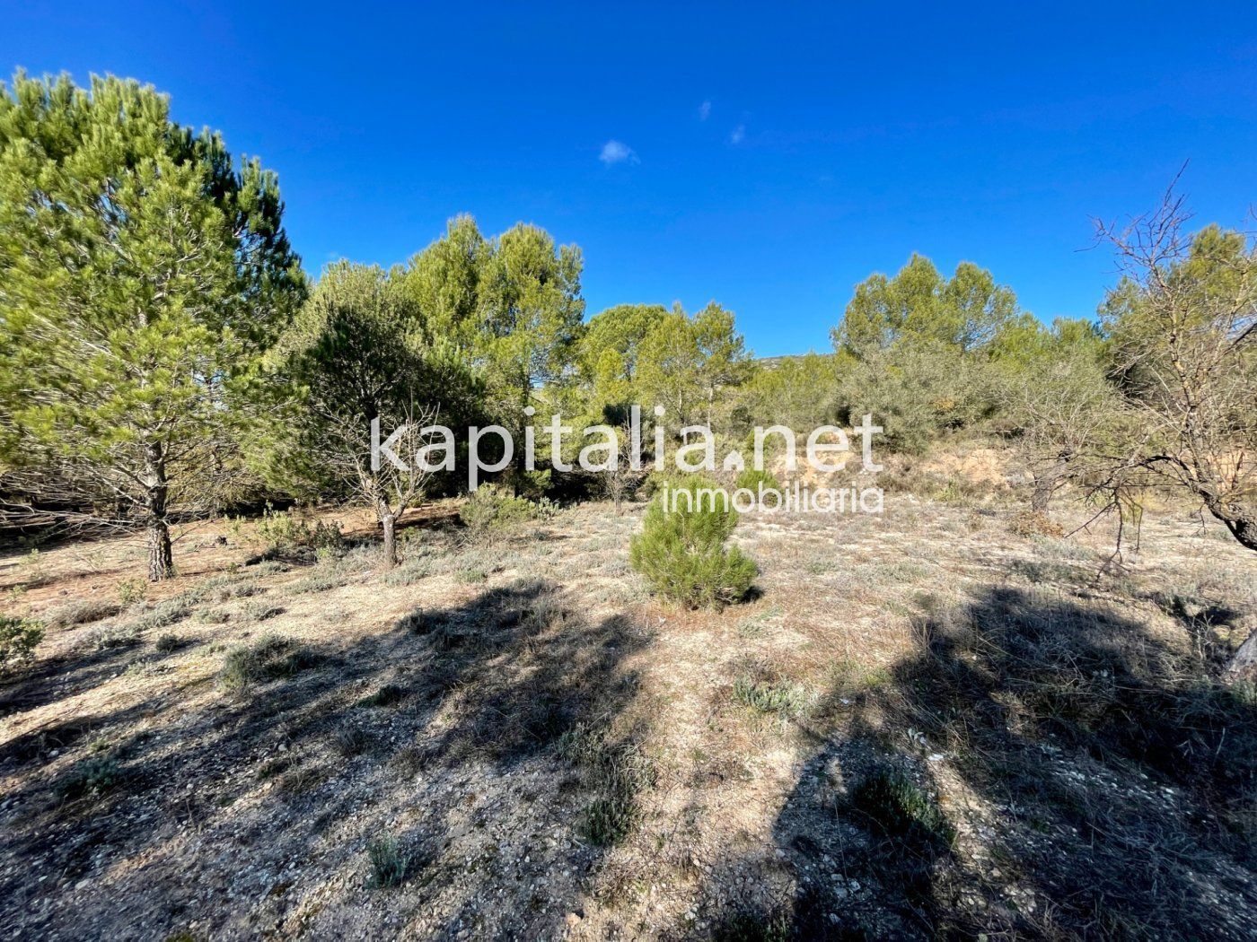 Terrain dans Bocairent, Valencia à vendre Photo principale– Image 1 sur 6