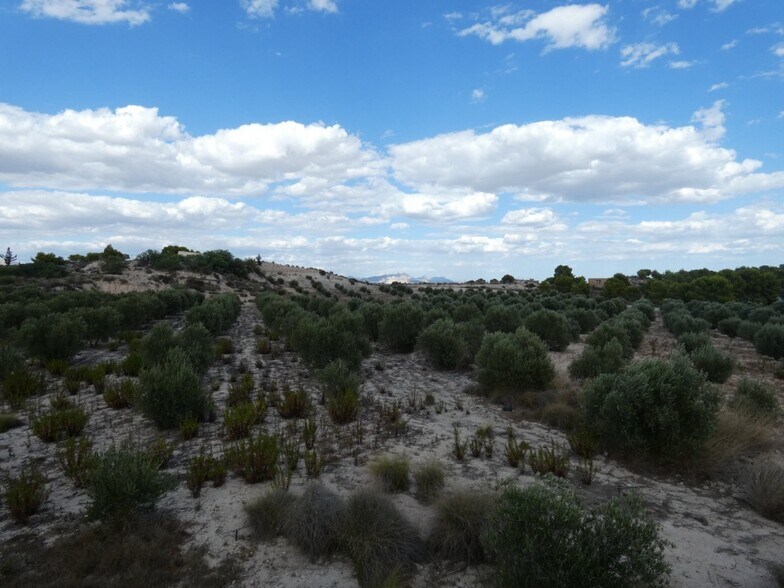 Terrain dans Molina de Segura à vendre - Aérien – Image 2 sur 12