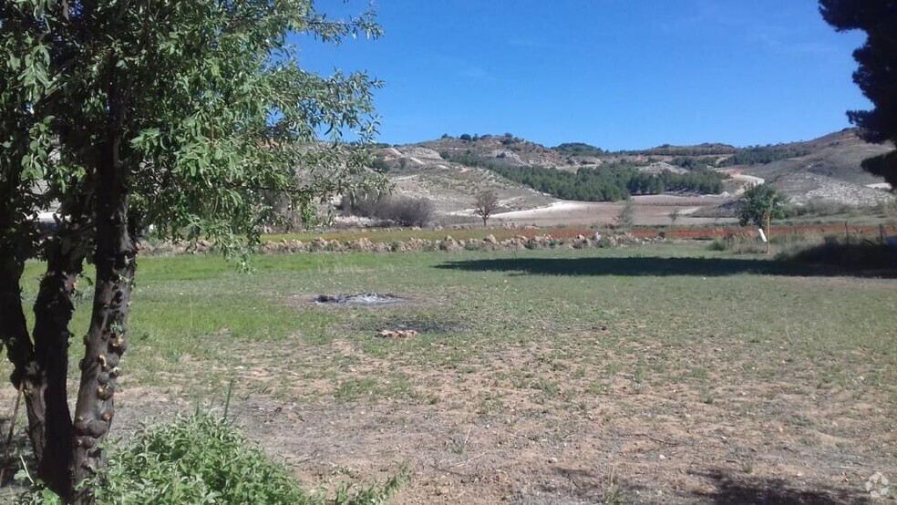 Terrain dans Zarza de Tajo, Cuenca à vendre - Photo principale – Image 1 sur 7
