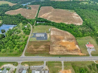 Plus de détails pour Lucas Road/87 Bypass, Cochran, GA - Terrain à vendre