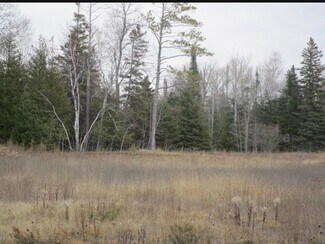 Plus de détails pour 14230 Mackinaw Hwy, Mackinaw City, MI - Terrain à vendre