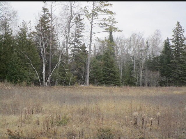 14230 Mackinaw Hwy, Mackinaw City, MI à vendre Autre– Image 1 sur 3