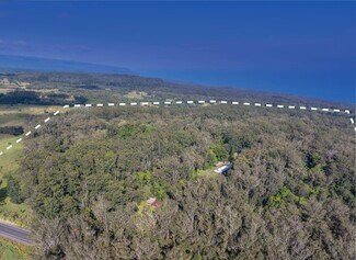Plus de détails pour 46-306 Mamalahoa hwy, Honokaa, HI - Terrain à vendre