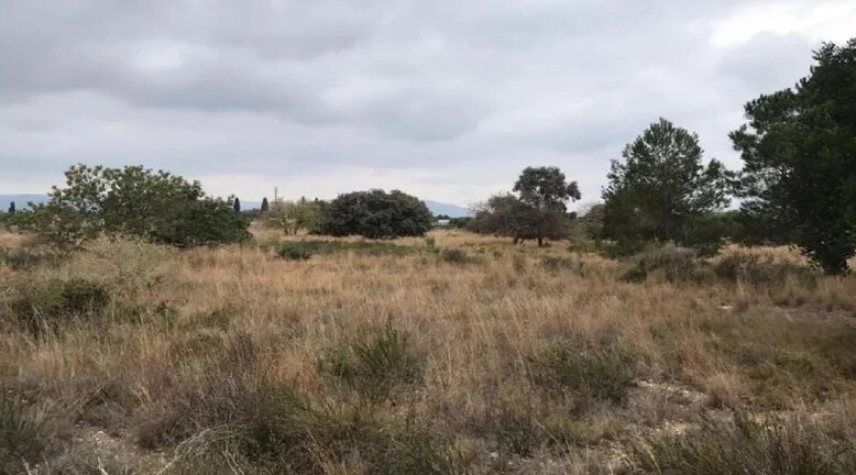 Terrain dans El Rourell, Tarragona à vendre - Photo de l’immeuble – Image 2 sur 5