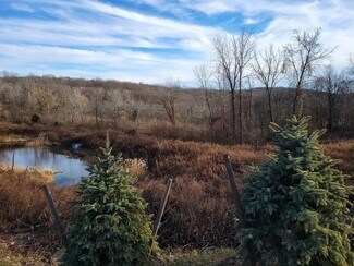 Plus de détails pour 228 Mahopac Ave, Somers Township, NY - Terrain à vendre