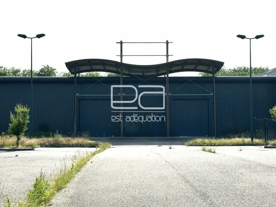 Local d'activités dans Dombasle-sur-Meurthe à vendre Photo de l’immeuble– Image 1 sur 14