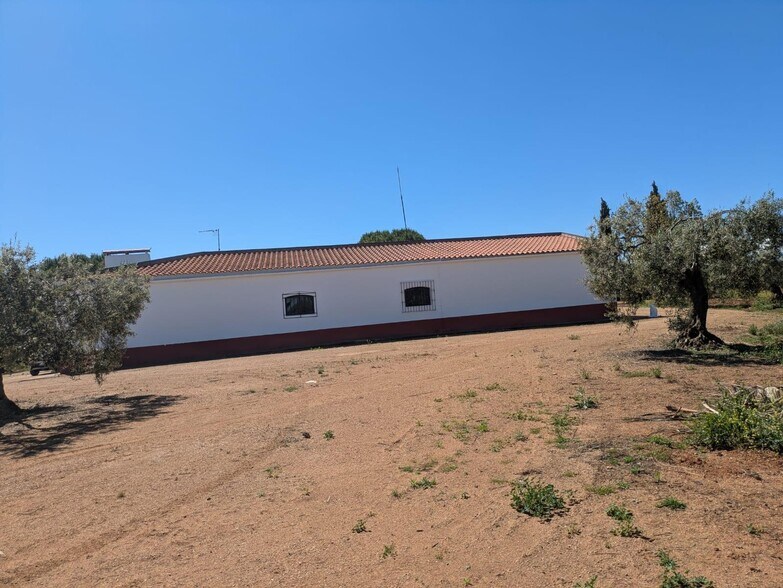 Terrain dans Solana de los Barros, Badajoz à vendre - Photo de l’immeuble – Image 3 sur 14