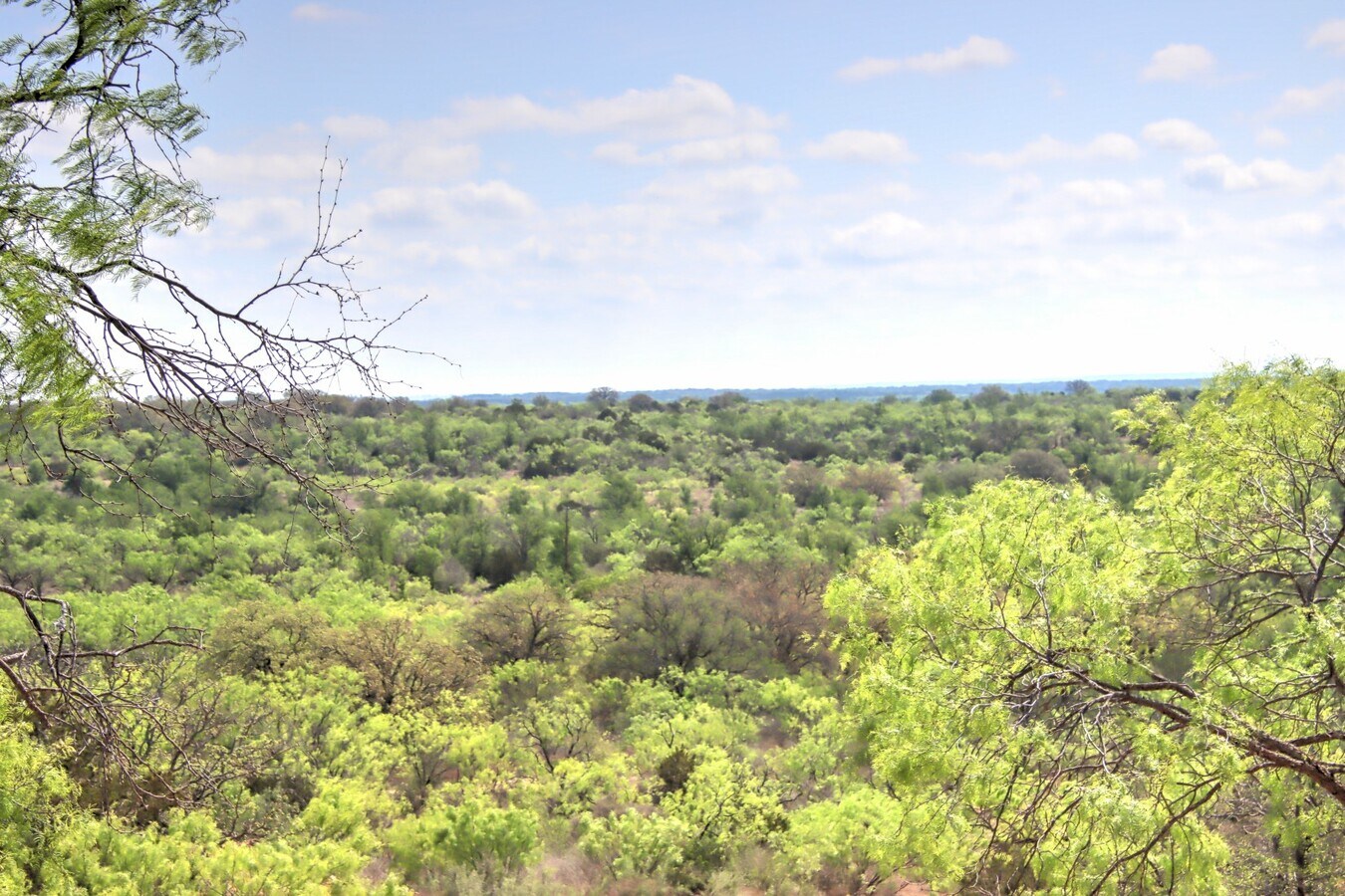View Photo