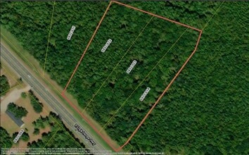 12.11 Acres E Oglethorpe Hwy, Fleming, GA - Vue aérienne  vue de carte