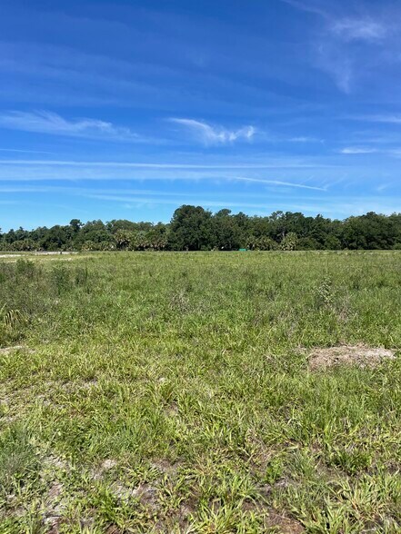 Lake Ferns Road, Umatilla, FL à vendre - Photo de la construction – Image 1 sur 6
