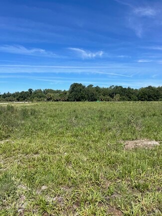 Plus de détails pour Lake Ferns Road, Umatilla, FL - Terrain à vendre