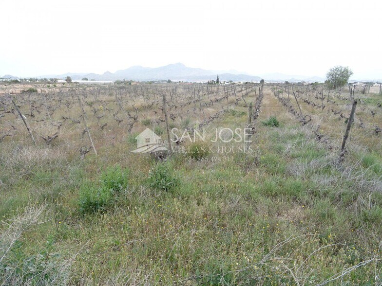 Terrain dans Novelda, Alicante à vendre - Aérien – Image 2 sur 8