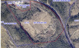 Plus de détails pour 4399 Pinckney Rd, Chester, SC - Terrain à vendre