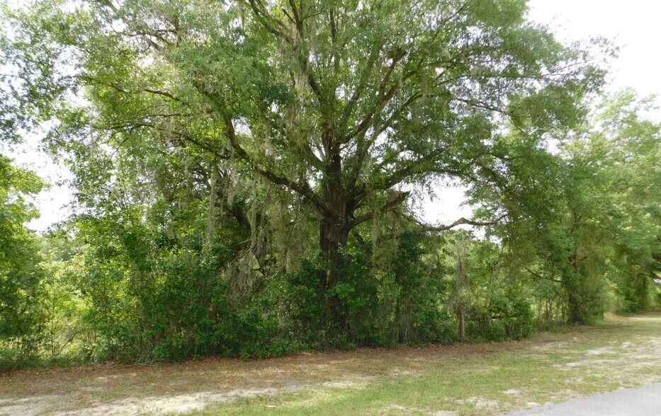Northwest Hall of Fame Drive, Lake City, FL à vendre - Photo de l’immeuble – Image 3 sur 7