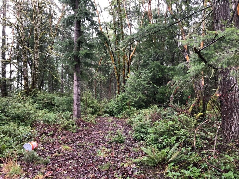 5XXX Werner, Bremerton, WA à vendre - Autre – Image 2 sur 4