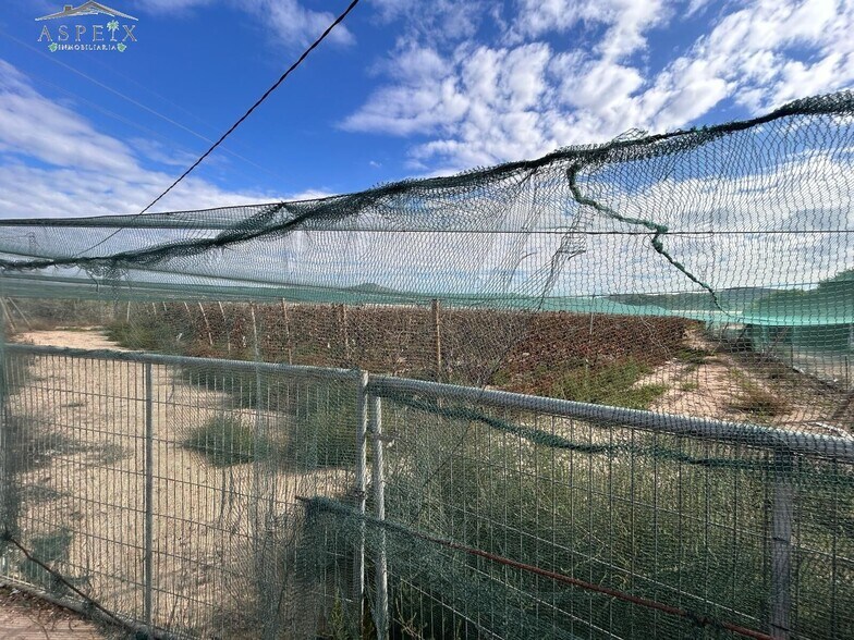 Terrain dans Monforte del Cid, Alicante à vendre - Photo de la construction – Image 2 sur 2