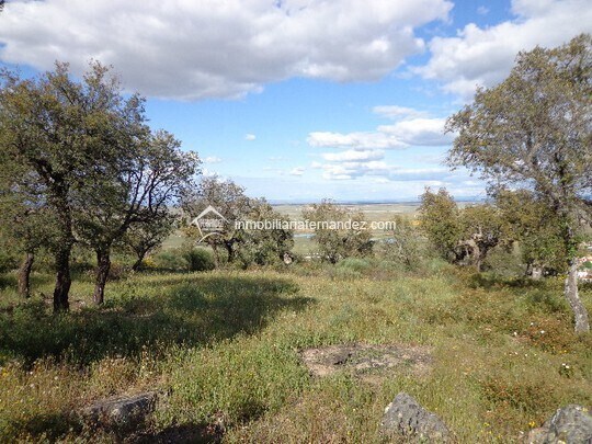 Terrain dans Sierra de Fuentes, Cáceres à vendre - Photo principale – Image 3 sur 8