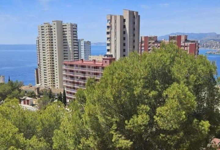 Terrain dans Benidorm, Alicante à vendre - Photo de l’immeuble – Image 3 sur 5