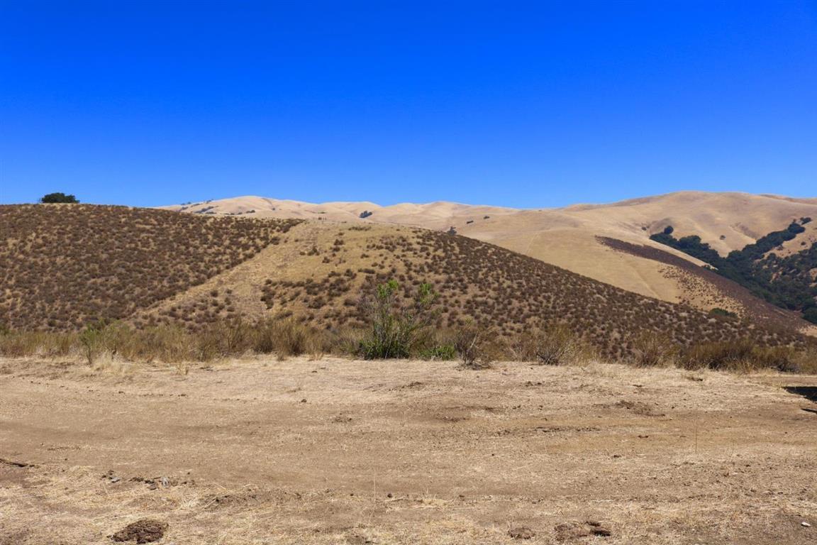 View Photo