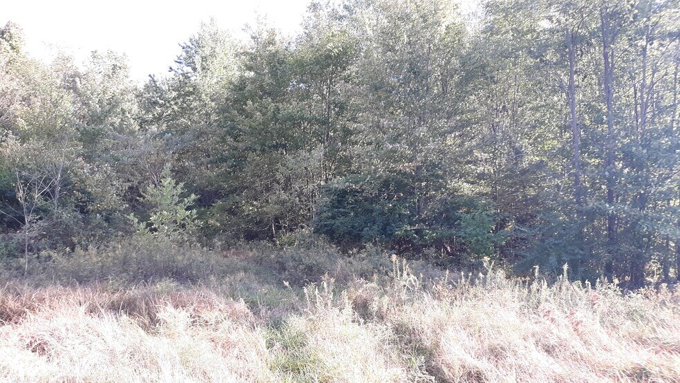 None State Route 132(adjacent to 3354 132) Rd, Amelia, OH à vendre - Autre – Image 3 sur 4