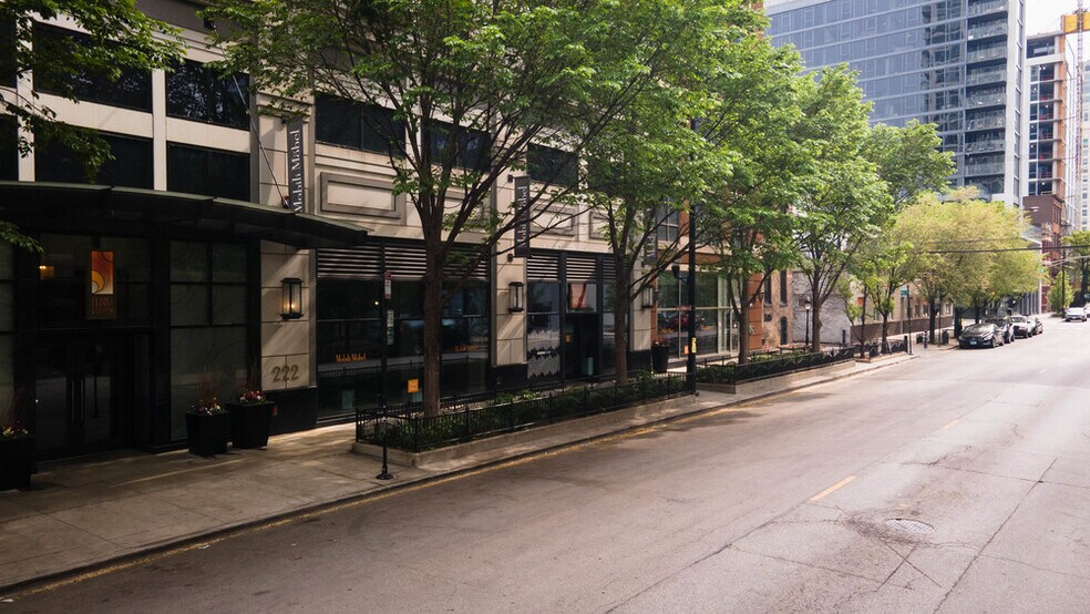 222 W Erie St, Chicago, IL à vendre - Photo de l’immeuble – Image 3 sur 38