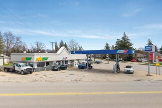 Plus de détails pour 4497 Washington, Ubly, MI - Local commercial à vendre