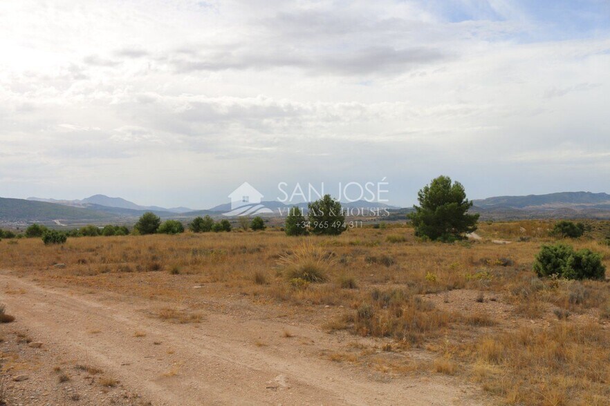 Terrain dans Jumilla, Murcia à vendre - Photo principale – Image 1 sur 18