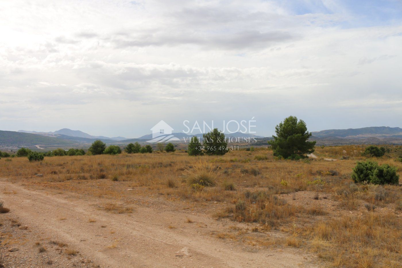 Terrain dans Jumilla, Murcia à vendre Photo principale– Image 1 sur 19