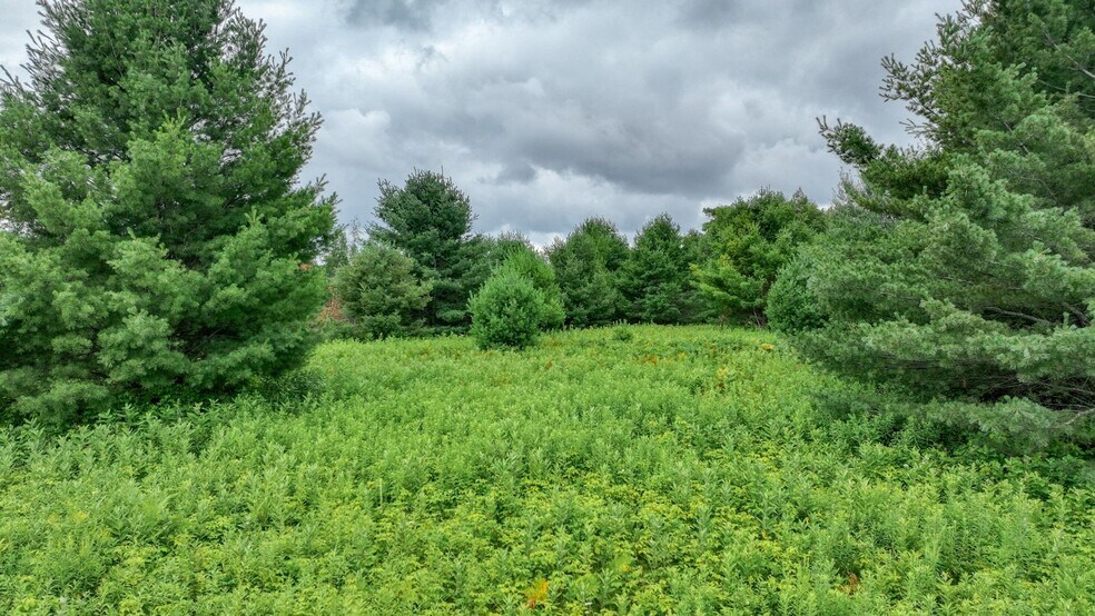 4E West Twin Lake Road, Hayward, WI à vendre - Photo de l’immeuble – Image 2 sur 13
