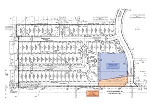 Plus de détails pour SH 46 & Sun Lily Rd, Seguin, TX - Terrain à vendre