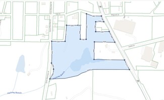 Plus de détails pour 0 Stone Mountain St, Tallapoosa, GA - Terrain à vendre
