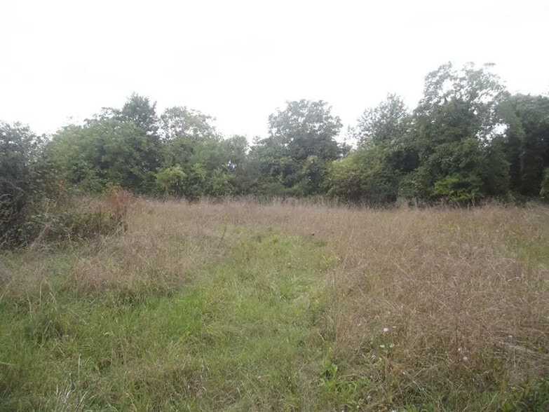 Terrain dans Chavanges à vendre - Photo de l’immeuble – Image 2 sur 2