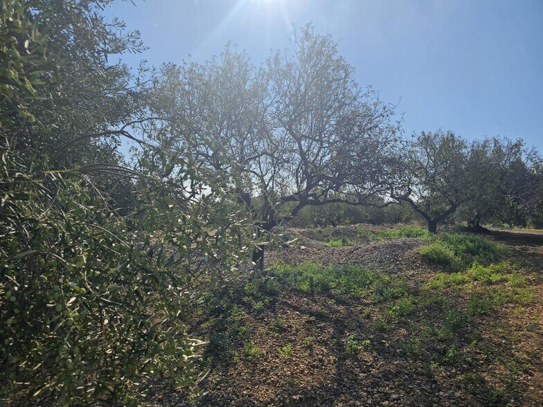 Terrain dans LA RÀPITA, Tarragona à vendre - Photo de l’immeuble – Image 2 sur 4