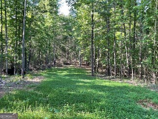 Plus de détails pour 55 Sweetwater way, Lula, GA - Terrain à vendre