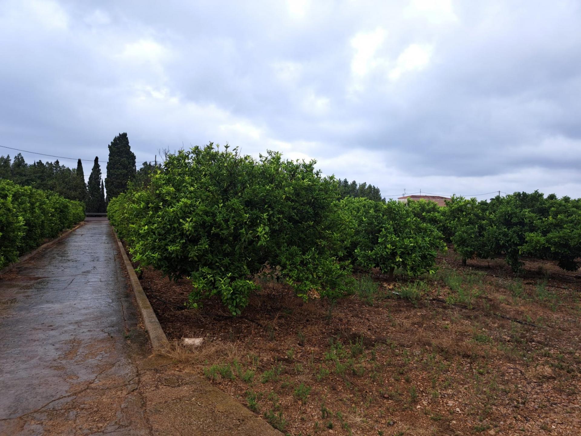 Carrer Devesa A, Vinaros, Costa Norte, 4, Vinaròs, Castellón à vendre Photo de l’immeuble– Image 1 sur 6