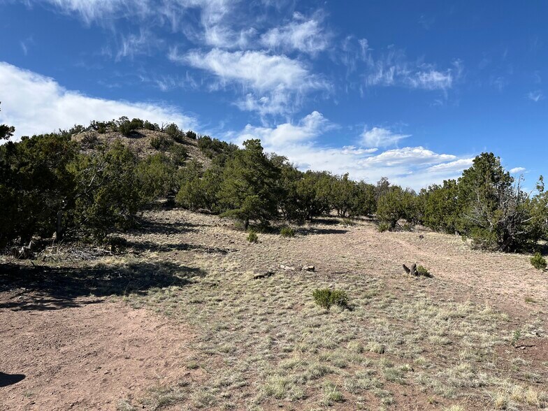 Double Tree Lane, Eagar, AZ à vendre - Photo de l’immeuble – Image 2 sur 8