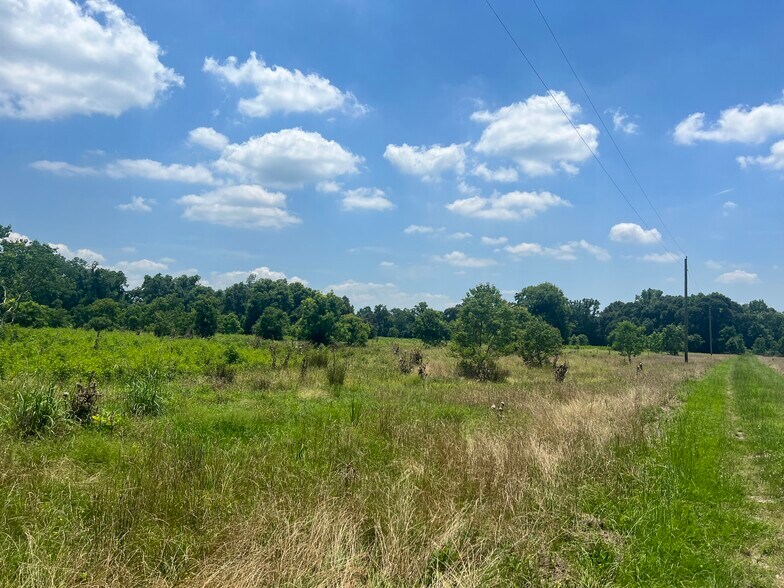 TBD CR 2326, Dayton, TX à vendre - Photo principale – Image 2 sur 4