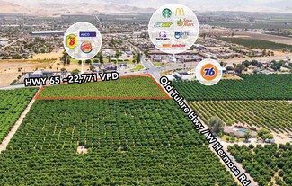 Plus de détails pour Highway 65, Lindsay, CA - Terrain à vendre