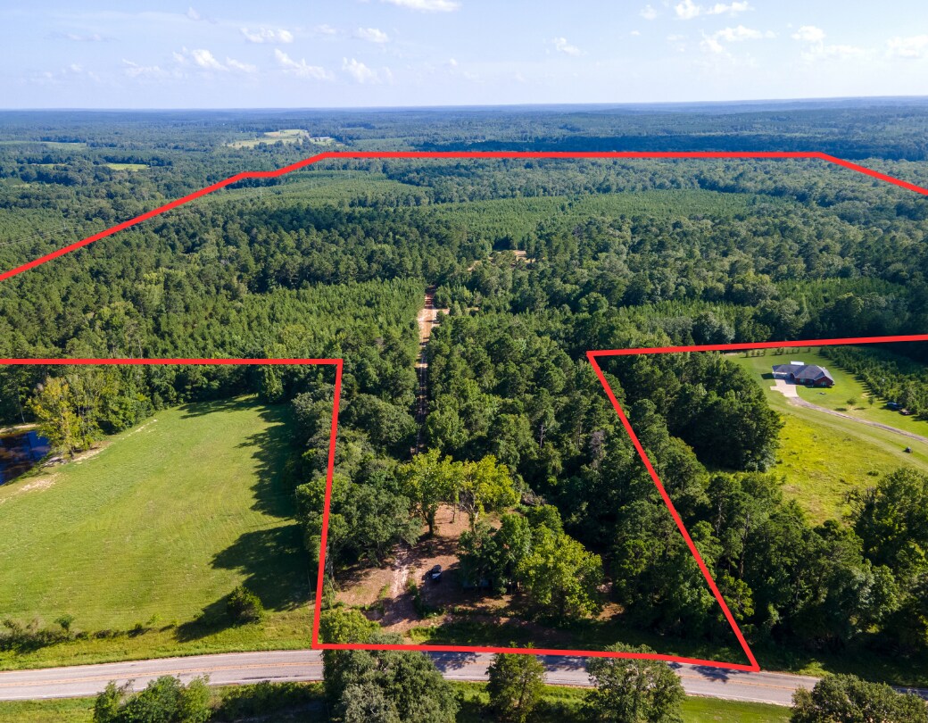 2539 FM 995, Atlanta, TX à vendre Photo de l’immeuble– Image 1 sur 67