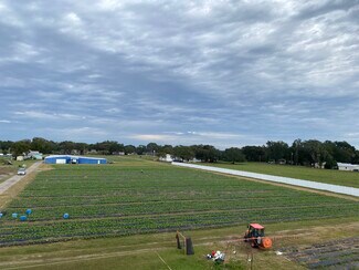 Plus de détails pour WO Farms – Terrain à vendre, Plant City, FL