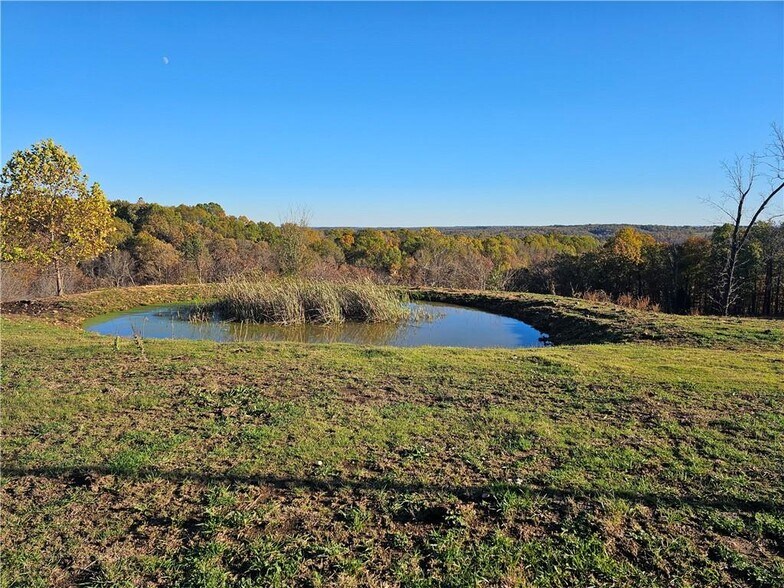 Highway 23 and Madison 1000 - 15.94 Acres, Huntsville, AR à vendre - Photo de l’immeuble – Image 2 sur 13