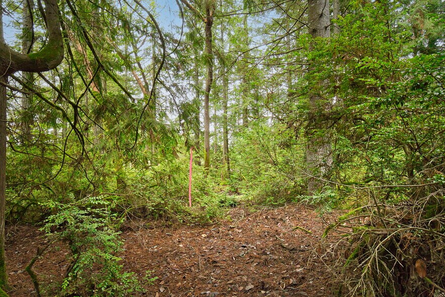 00 Dickey Rd, Silverdale, WA à vendre - Photo principale – Image 2 sur 22