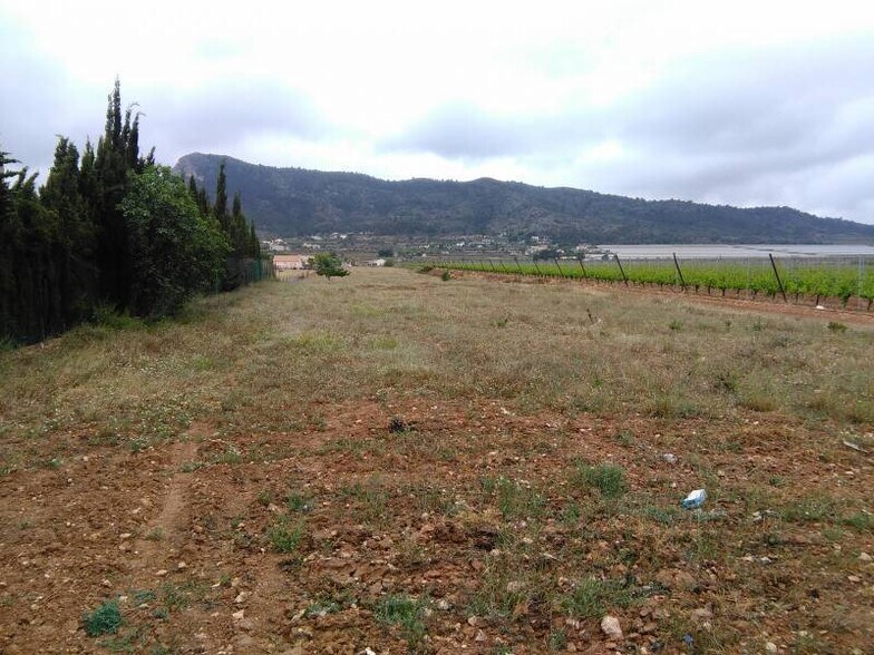 Terrain dans Aspe, Alicante à vendre - Plan de site – Image 1 sur 2