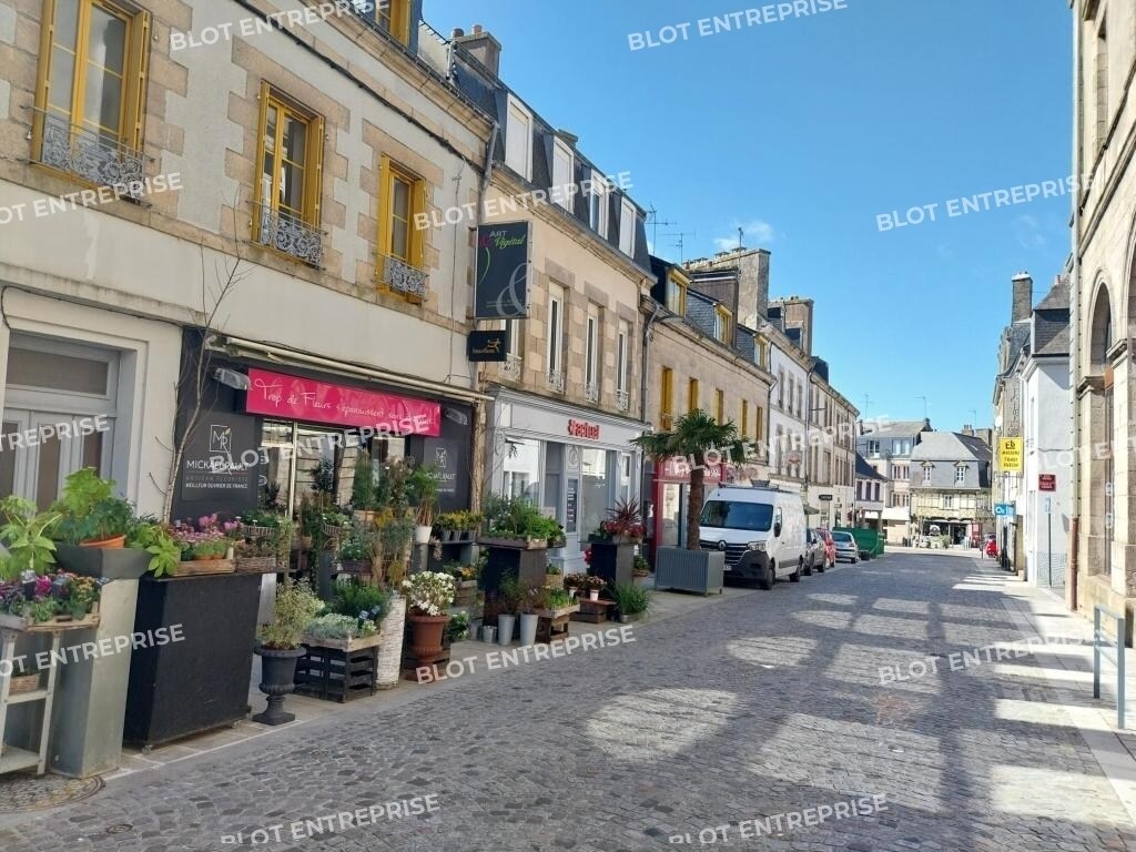 Local commercial dans Pontivy à vendre Photo de l’immeuble– Image 1 sur 4